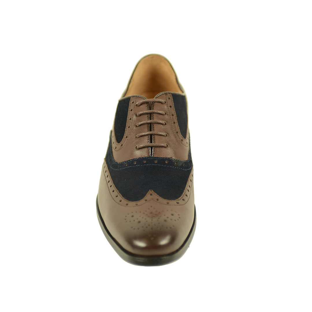 Azor ZM3749 Miller Brown Blue Brogue Shoes - Baks Menswear Bournemouth